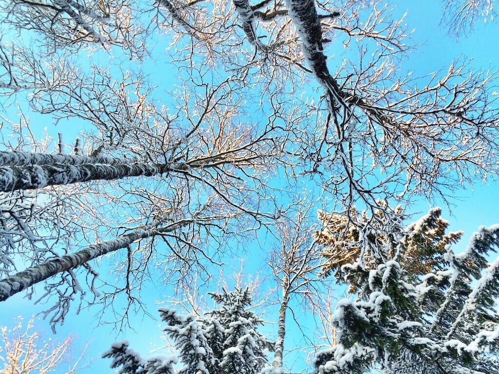 Highly Unlikely Romantic Spots Around The World