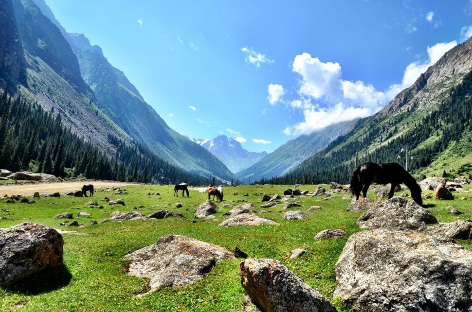 My Favorite 2017 Travel Experiences That Were Just Plain Fun