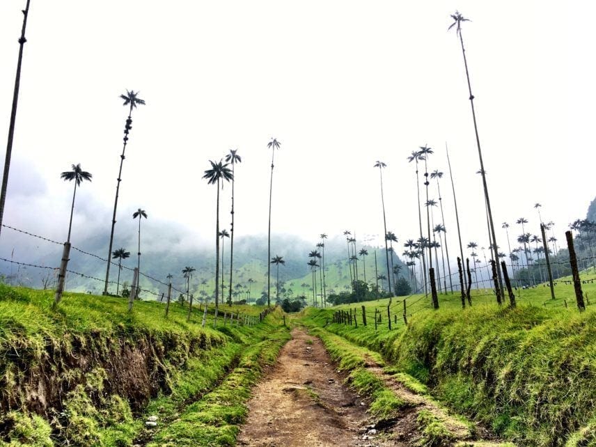 Experiential Luxury Travel – My Top 2017 Moments