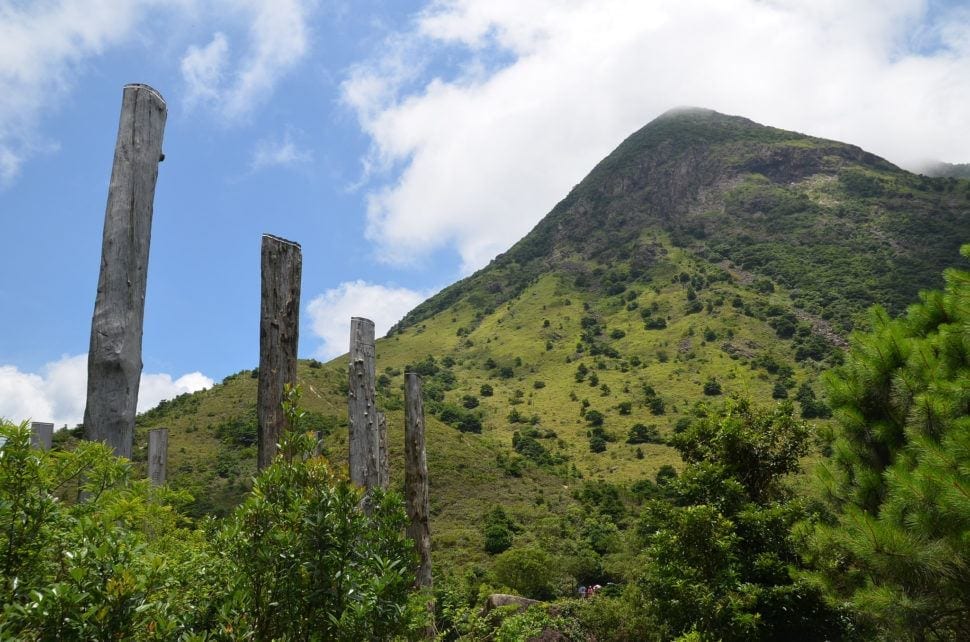 Getting Back to Nature in Hong Kong